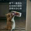 放松放松的头像