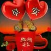 幽的头像