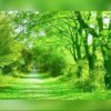 天涯若比邻的头像