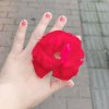 only(益宝宝)的头像