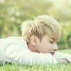 阿月浑子ya的头像
