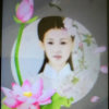 月儿随缘的头像