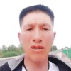骏马奔腾的头像