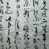 我自悠然的头像