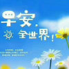 一切安好的头像