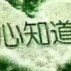 的头像