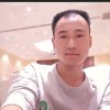 如虎添翼的头像