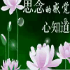 我能懂你几分的头像