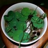 感 悟的头像
