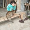 儿女双全的头像