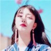 空昵称的头像