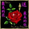 随缘的头像