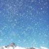 飘雪的头像