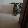 随★的头像