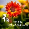 快乐一家四口的头像