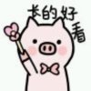 ？？的头像