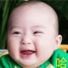 不白活一回的头像