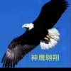 神鹰的头像