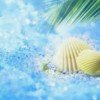 ★愿为君一梦♀的头像