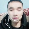 笨笨的头像