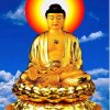 忆驹117兴美的成长路的头像
