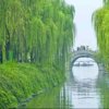 朗读者柳浪闻莺（悦读园）的头像