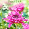 依然心动的头像