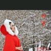 听雪的头像