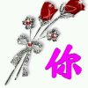 xin歆的头像