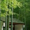 快乐每一天的头像