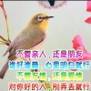 依恋的头像