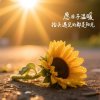 寻的头像