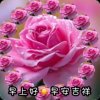 已卸载的头像