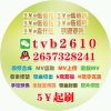 泳糙的头像
