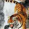 猛虎的头像