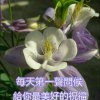 ***静**思***的头像