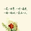 如尘的头像