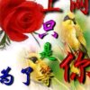 人心换人心。的头像
