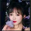 ꧁季风雪꧁的头像
