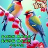阳光雨露的头像