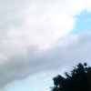 邵春海的头像