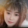 故乡的泉水的头像