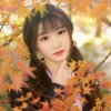 黄连秀的头像