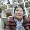 奇山奇水奇石！杨丽姣!的头像