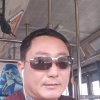 球毛的头像