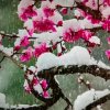 茉莉花(互动停B)的头像