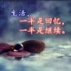 浅笑的头像