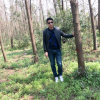 王定亮的头像