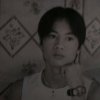 光辉岁月？再见理想的头像