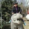 李的头像